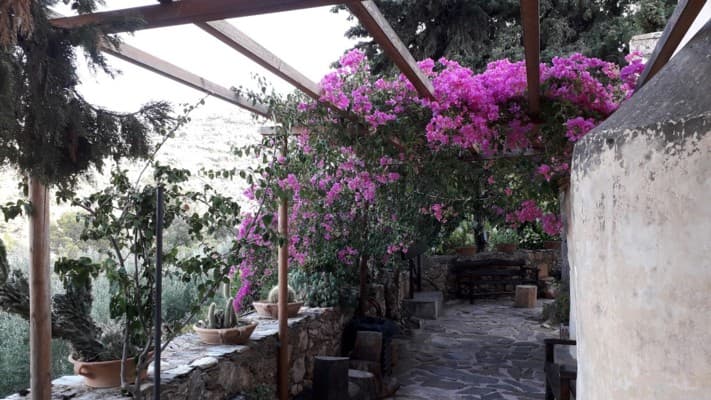 Монастырь Атали цветы