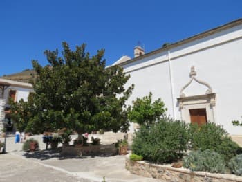 Растительность Монастырь Святого Георгия, Крит